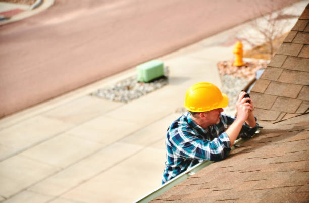 Best Roof Gutter Cleaning  in Mlstadt, IL