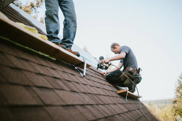 Best Roof Gutter Cleaning  in Mlstadt, IL